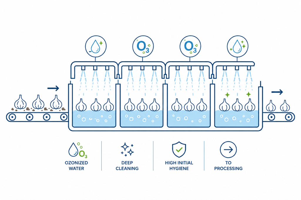 Sanitization & Washing